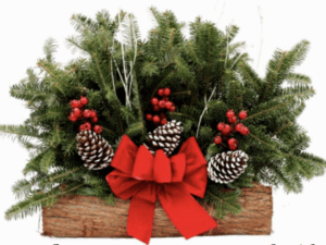 Holiday Cedar log box