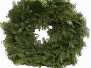 12" Plain Wreath (no bow)